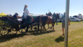 /album/zemedelska-vystava-hadacka4/img-20260625-095450-jpg/